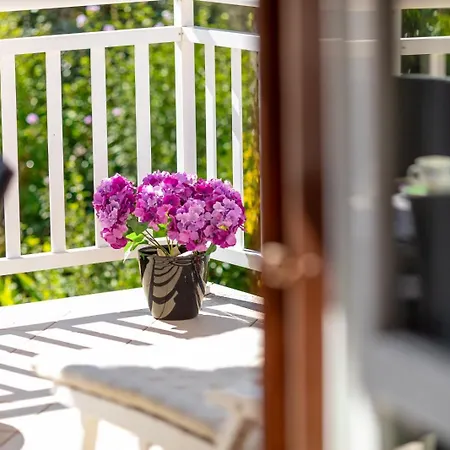 Maja-quiet Island Escape 公寓 尼亚卢卡